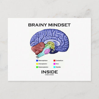Postal Mentalidad Brainy Inside (Cerebro anatómico)