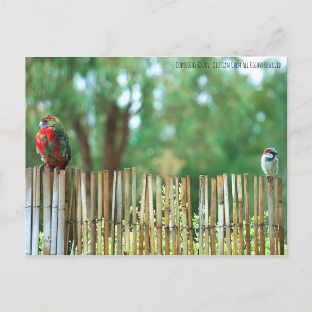 Postal Mentes Diferentes (Anverso)