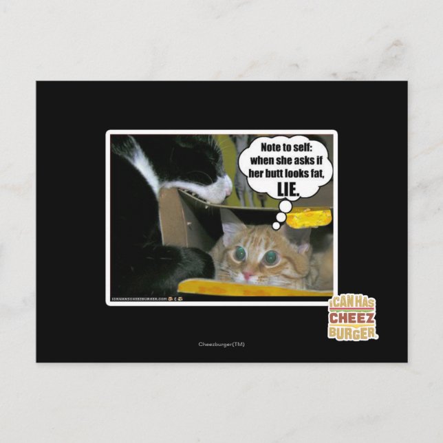 POSTAL MENTIRA (Anverso)