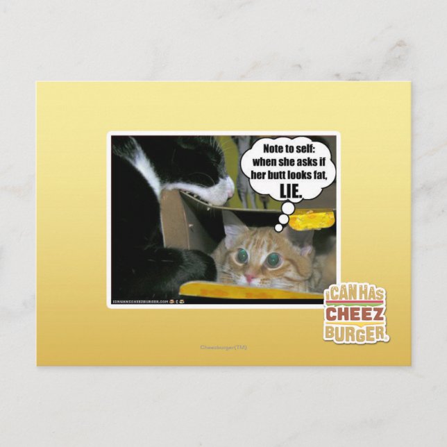 POSTAL MENTIRA (Anverso)