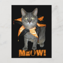 Postal Meow Costume Cat