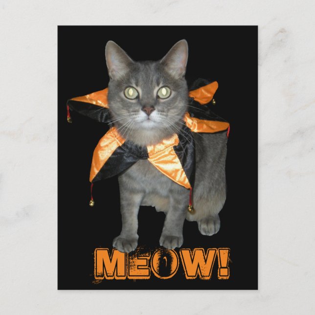 Postal Meow Costume Cat (Anverso)