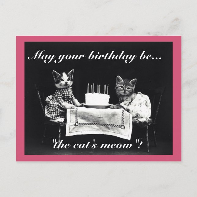 Postal Meow de gato de cumpleaños (Anverso)