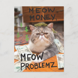 Postal Meow Money, Meow Problemz