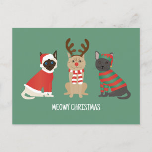 Postal Meowy Navidades Cats