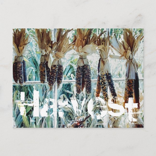 Postal Mercado de agricultores de la temporada de cosecha (Anverso)