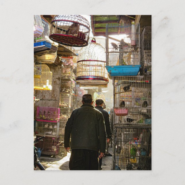 Postal Mercado De Aves En Kabul, Afganistán (Anverso)