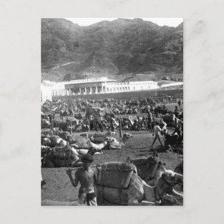 Postal Mercado de camellos, Adén, Yemen, 1902