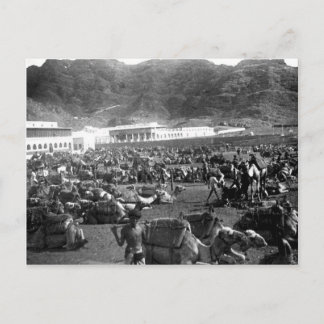 Postal Mercado de camellos, Adén, Yemen, 1902
