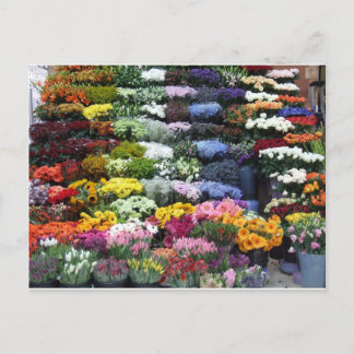 Postal Mercado de flores