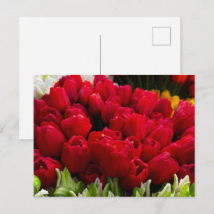 Postal Mercado de Flores Bloemenmarkt