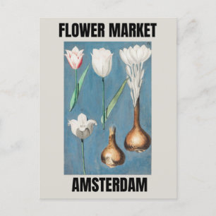 Postal Mercado de Flores de Ámsterdam Tulipán Vintage 
