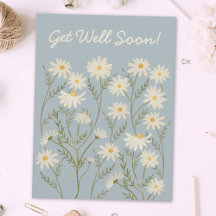 Mercado de Flores de Margarita Blanca Floral Acuar