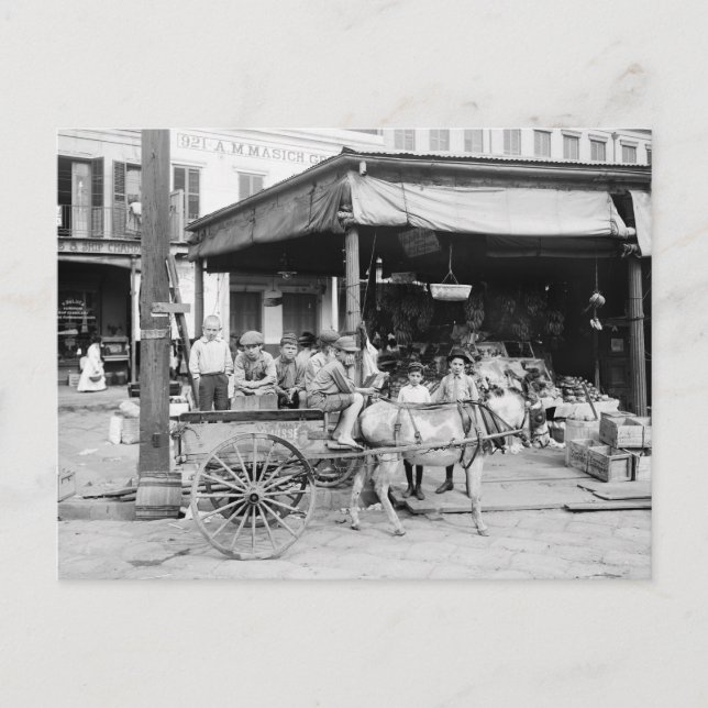 Postal Mercado francés, Nueva Orleans, 1910 (Anverso)
