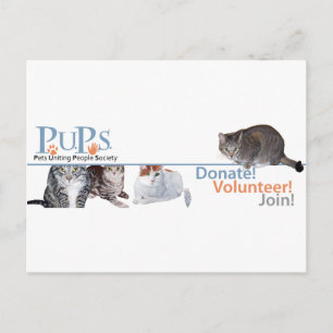 Postal Mercancía del logotipo de PUPs con gatos