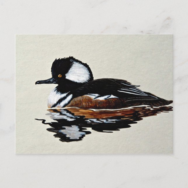 Postal Merganser Hooded (Anverso)