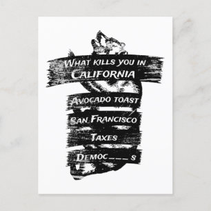 Postal Merica Humor América Estados Unidos Funny Californ