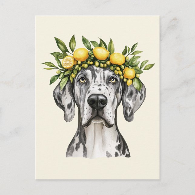 Postal Merle Great Dane Dog Lemon Crown (Anverso)