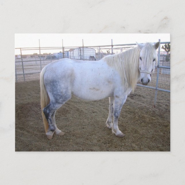 Postal Merlin Post Card (Anverso)