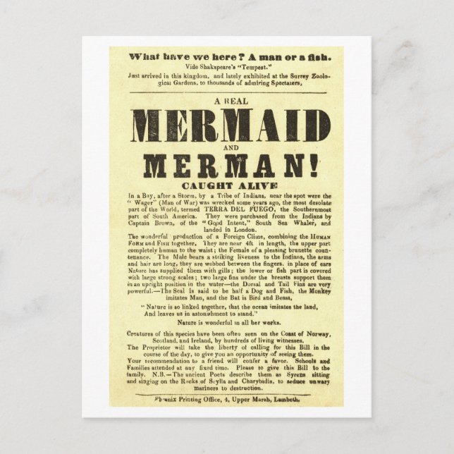 Postal Mermaid Vintage Show Poster Oddity (Anverso)