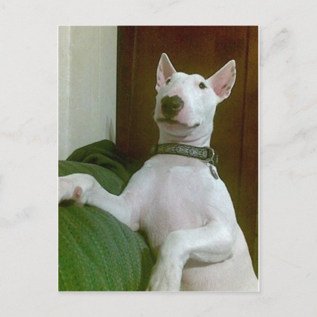 Postal merra (Anverso)