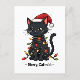 Postal Merry Catmas Navidades divertidos felinos