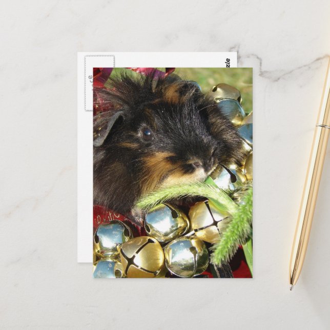 Postal Merry Christmas Guinea Pig (Anverso/Reverso In Situ)