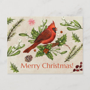 Postal Merry Christmas Red Cardinal