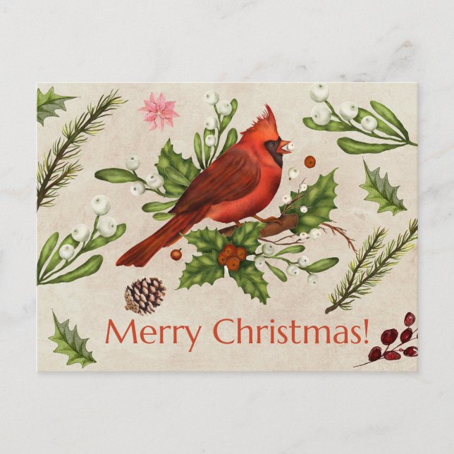 Postal Merry Christmas Red Cardinal (Anverso)