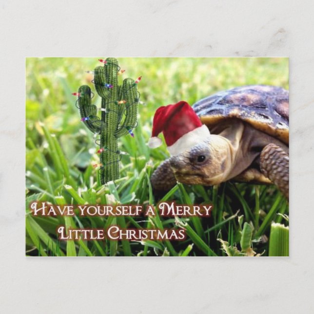 Postal Merry Little Navidades - Tortoise del desierto (Anverso)