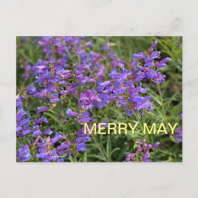 Postal Merry May (Anverso)