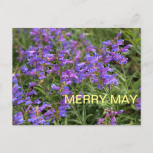 Postal Merry May
