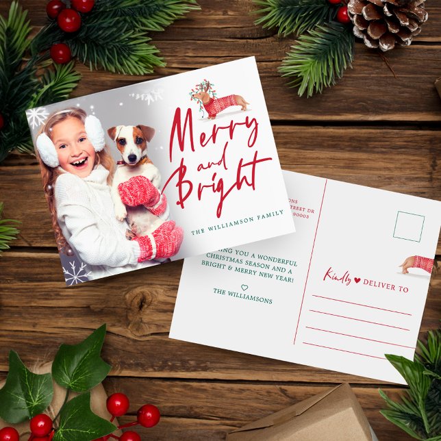 Postal Merry y Bright | Dachshund Navidades Sweater Photo (Merry & Bright | Dachshund Christmas Sweater Photo Postcard)