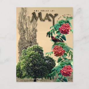 Postal Mes de Mayo Árboles Castaño Rowan Ash, Álamo 2