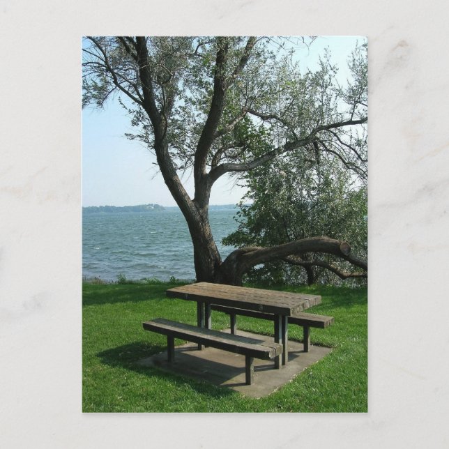 Postal Mesa de picnic a lo largo de la línea de la playa (Anverso)