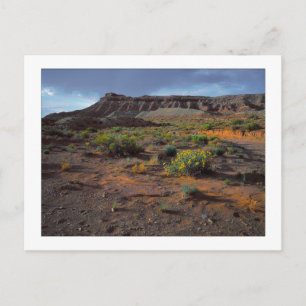 Postal "Meseta Sundowner"