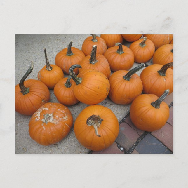 Postal Mess Of Pumpkins (Anverso)