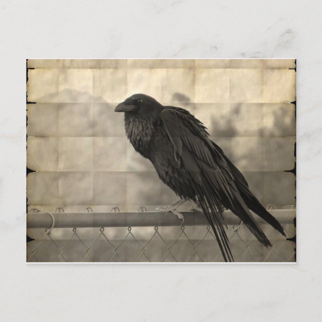 Postal Messenger (Vintage) (Anverso)