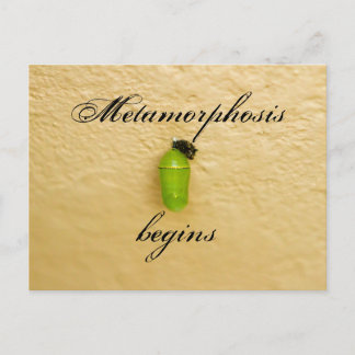 Postal Metamorfosis Comienza Monarch Butterfly Green