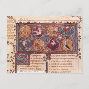 Postal Metamorfosis, de Ovid Moralize