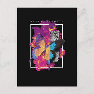 Postal Metamorfosis Mariposa