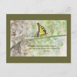 Postal Metamorphosis_2