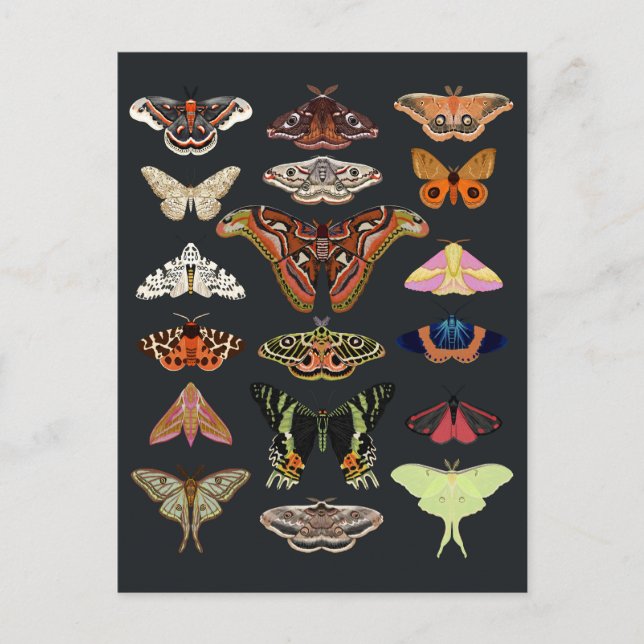 Postal Metas oscuras de Cottagecore (Anverso)