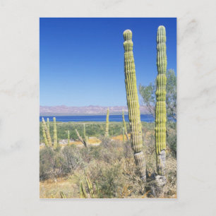 Postal México, Baja California Sur, Mulege, Bahia