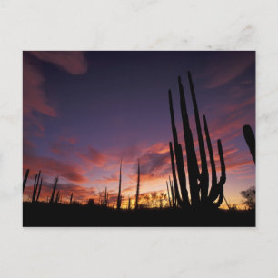 Postal México, Baja del Norte, Catavina Desierto Nacional