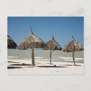 Postal México, Península de Yucatán, Progreso. Techo de p