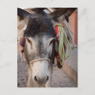 Postal México, San Miguel De Allende 2