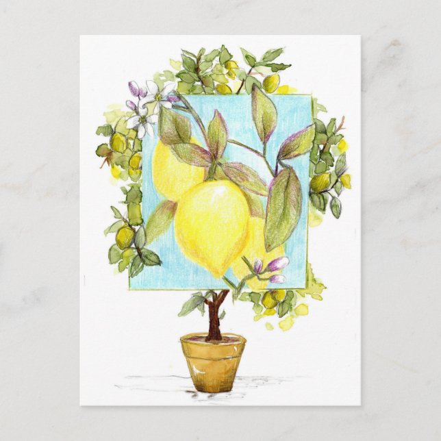 Postal Meyer Lemon Tree Citrus Fruit Garden (Anverso)