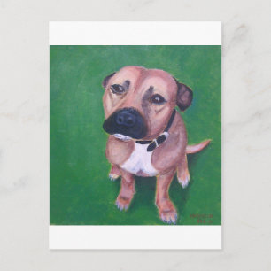 Postal Mi 2012 staffy