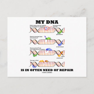 Postal Mi ADN A Menudo Necesita Reparación (Humor De ADN)